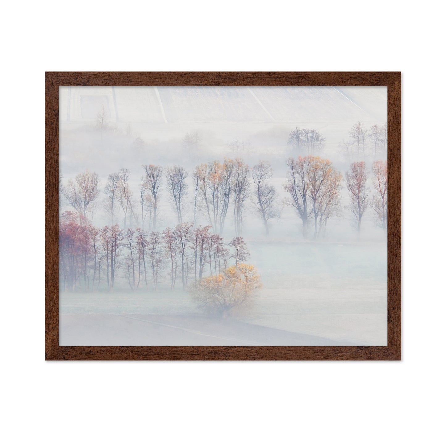 Spring Mists