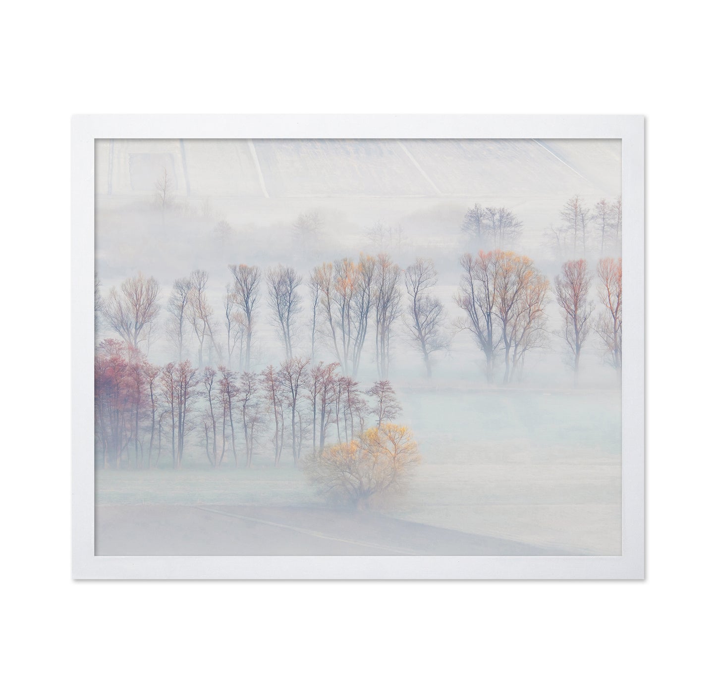Spring Mists