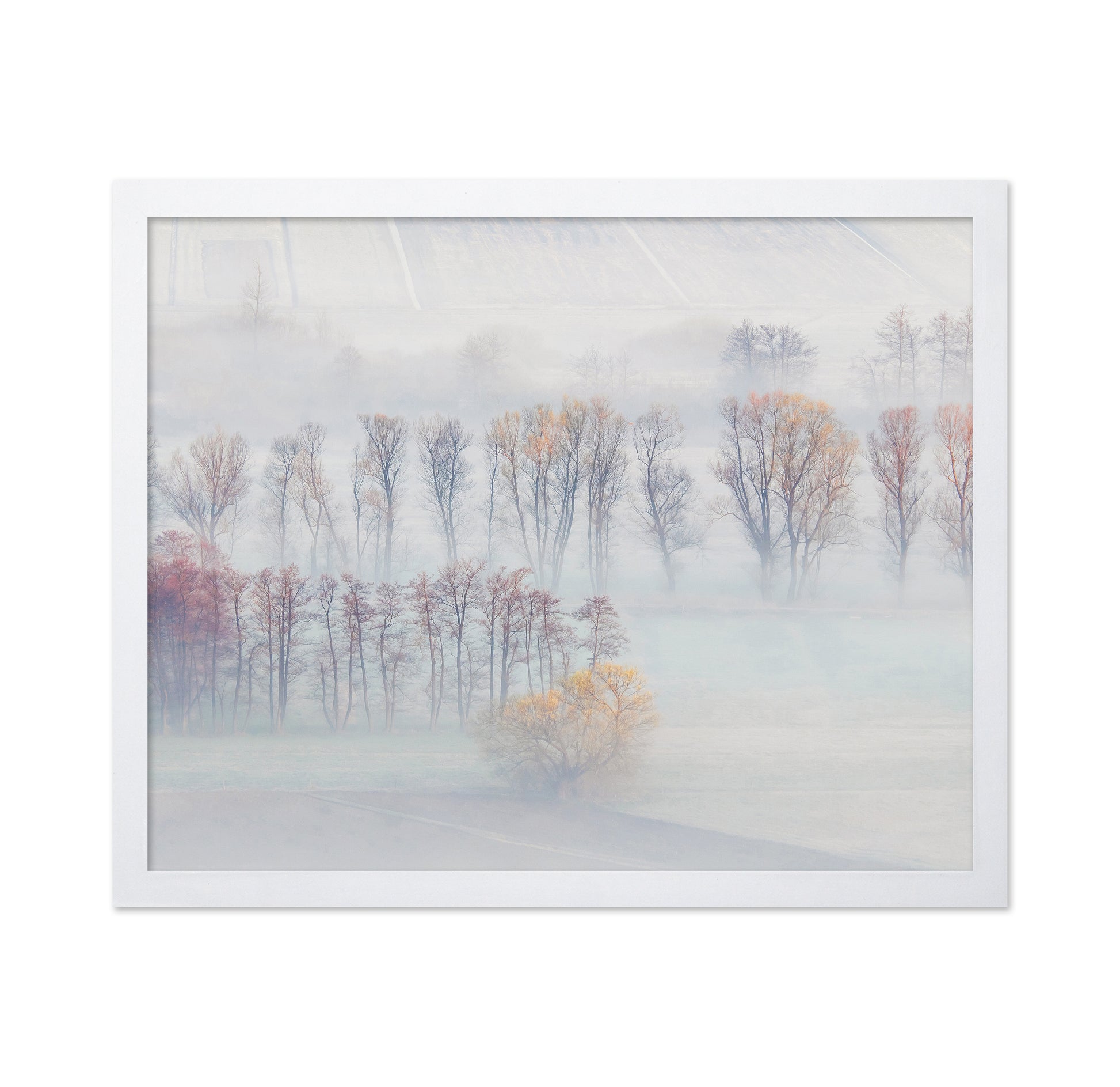 Spring Mists