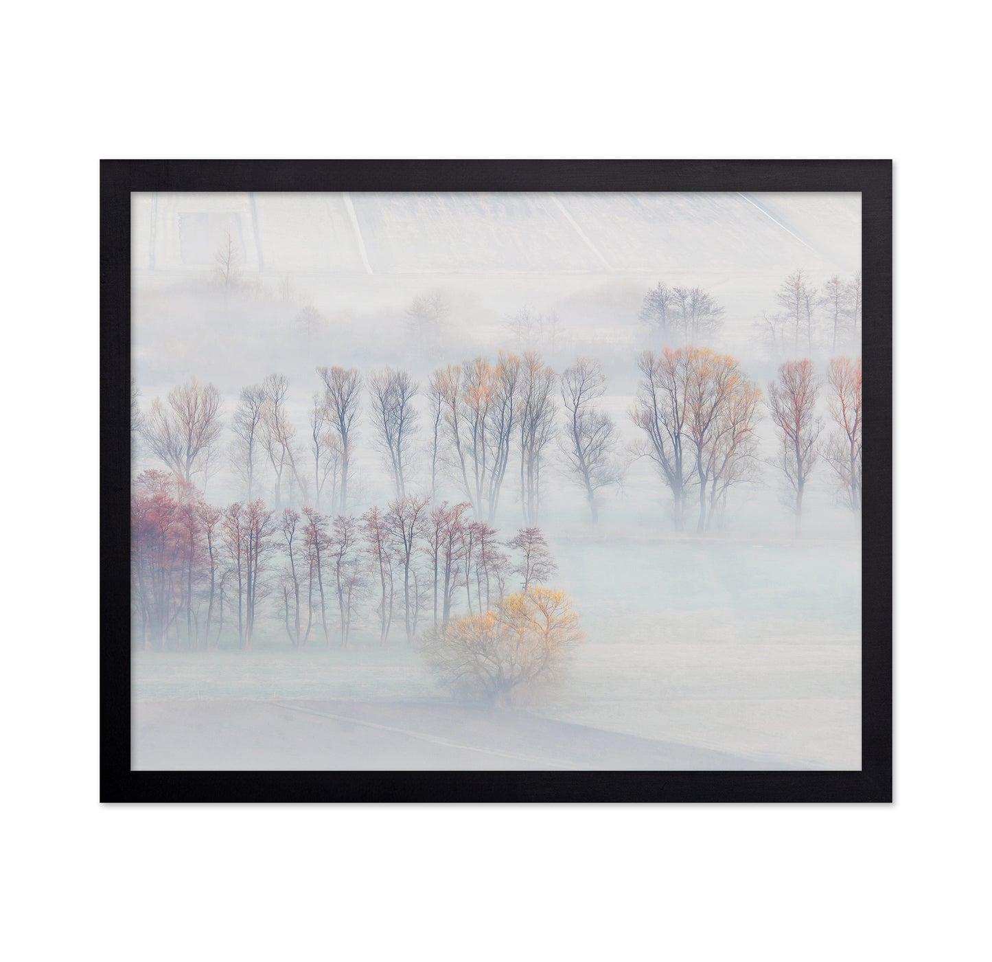 Spring Mists
