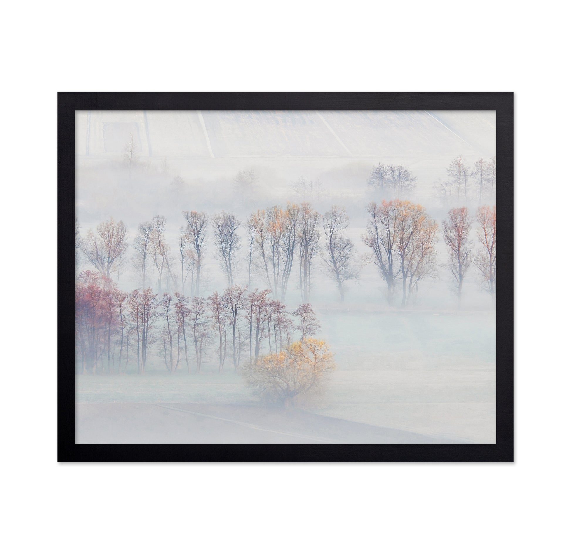 Spring Mists