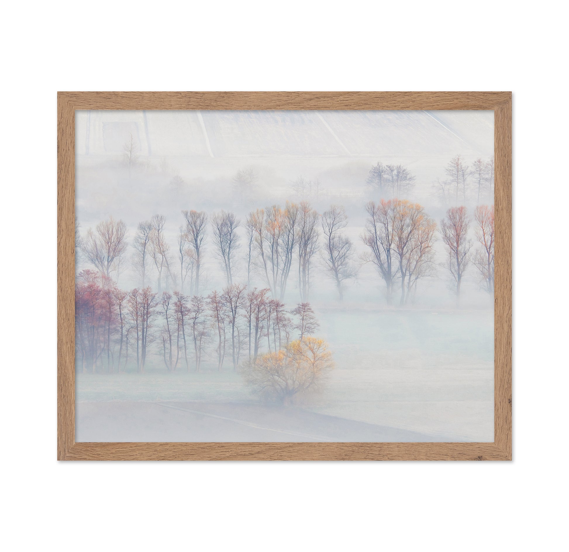 Spring Mists
