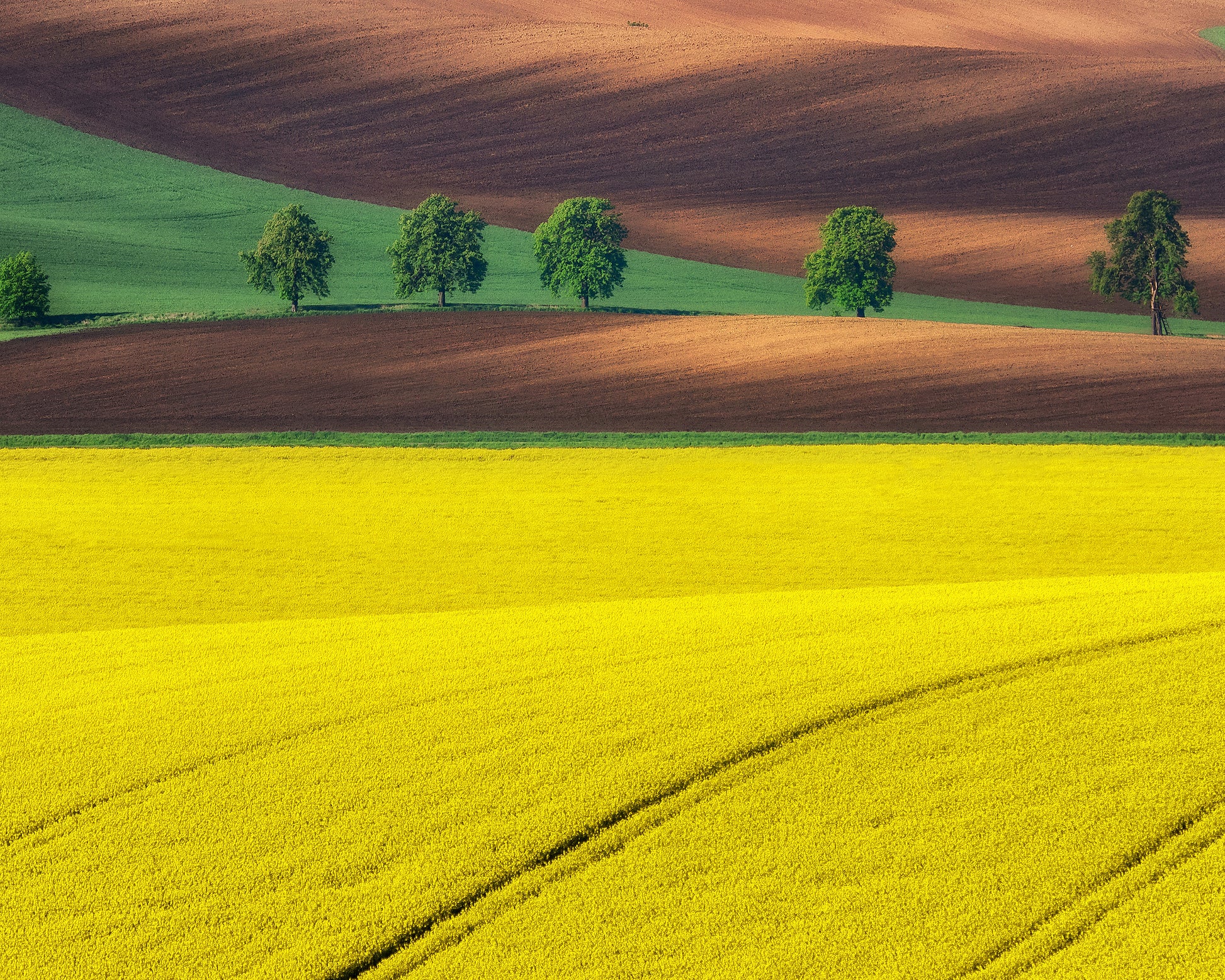Moravian Tuscany