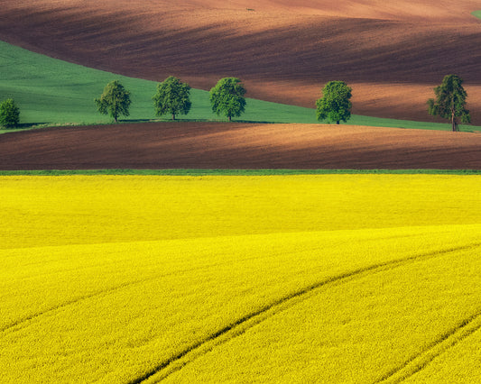 Moravian Tuscany