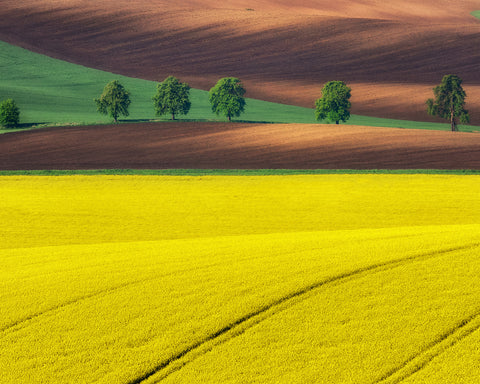 Moravian Tuscany