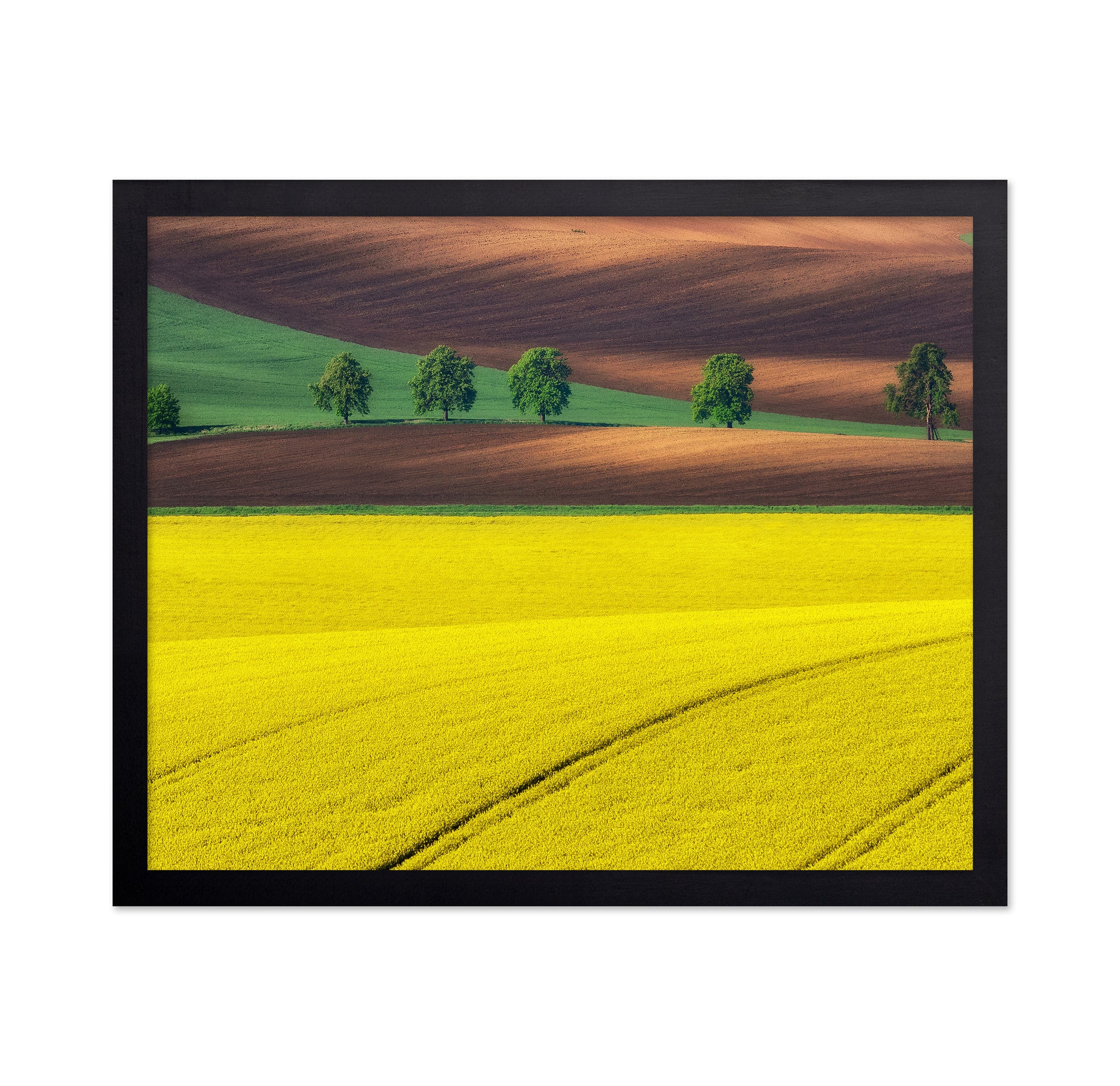 Moravian Tuscany