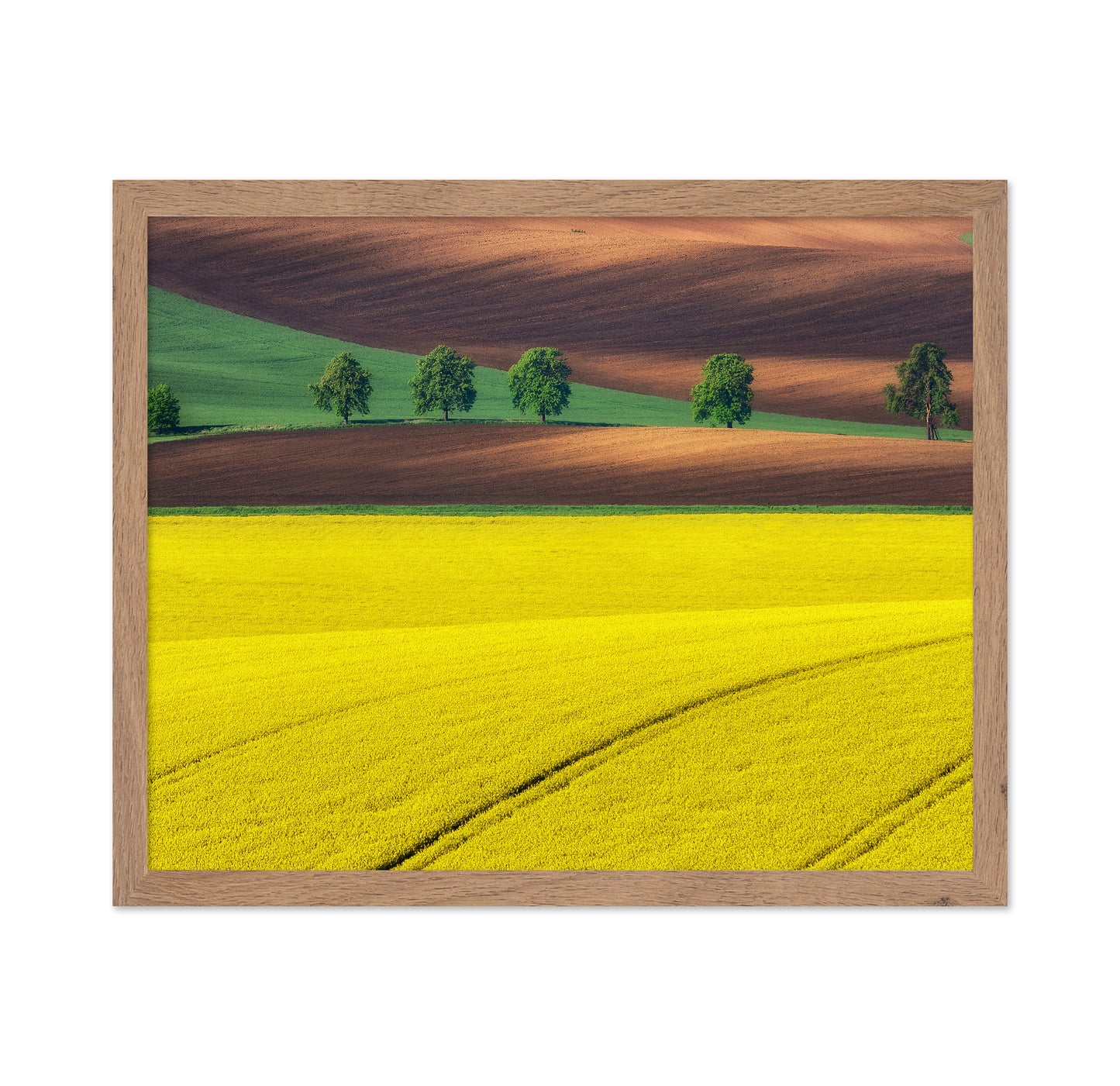 Moravian Tuscany