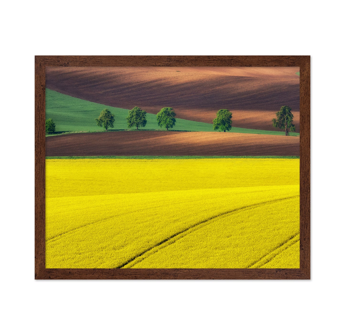 Moravian Tuscany