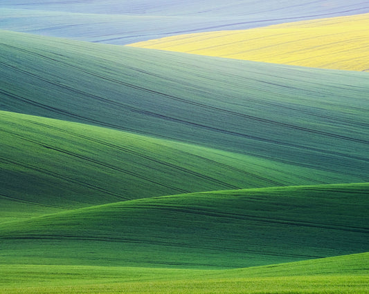 Rolling Hills of South Moravia