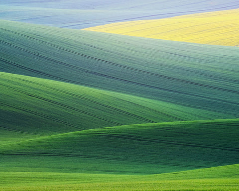 Rolling Hills of South Moravia