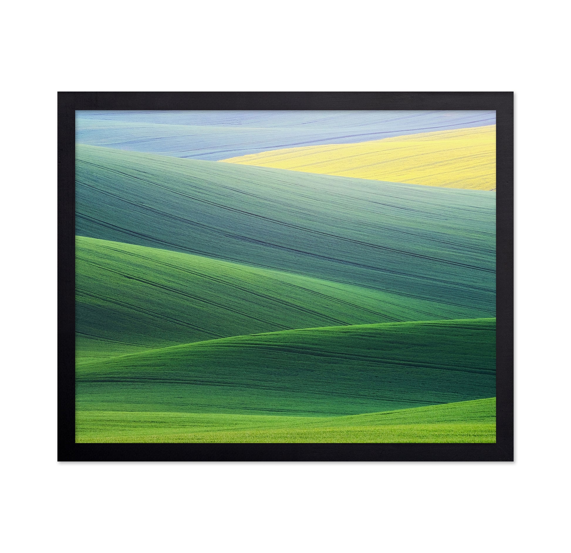 Rolling Hills of South Moravia