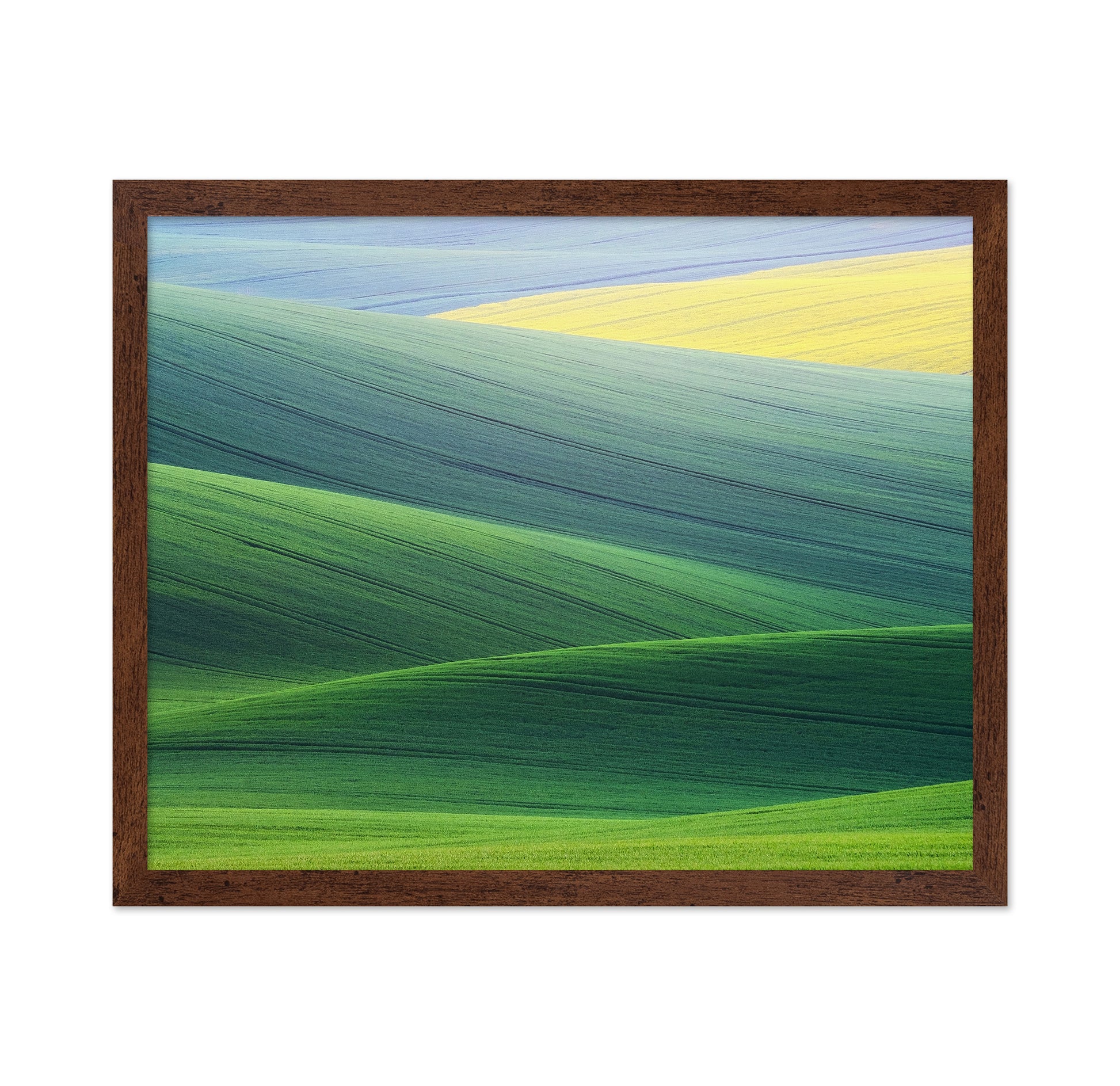 Rolling Hills of South Moravia