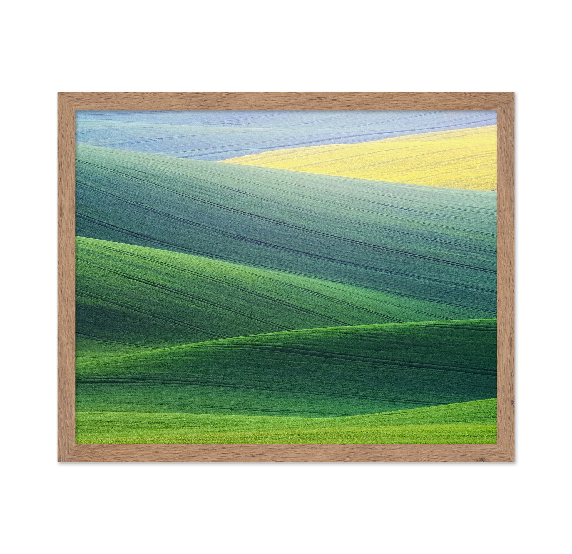 Rolling Hills of South Moravia