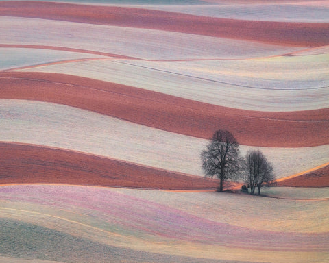 Rolling Fields of the Palouse