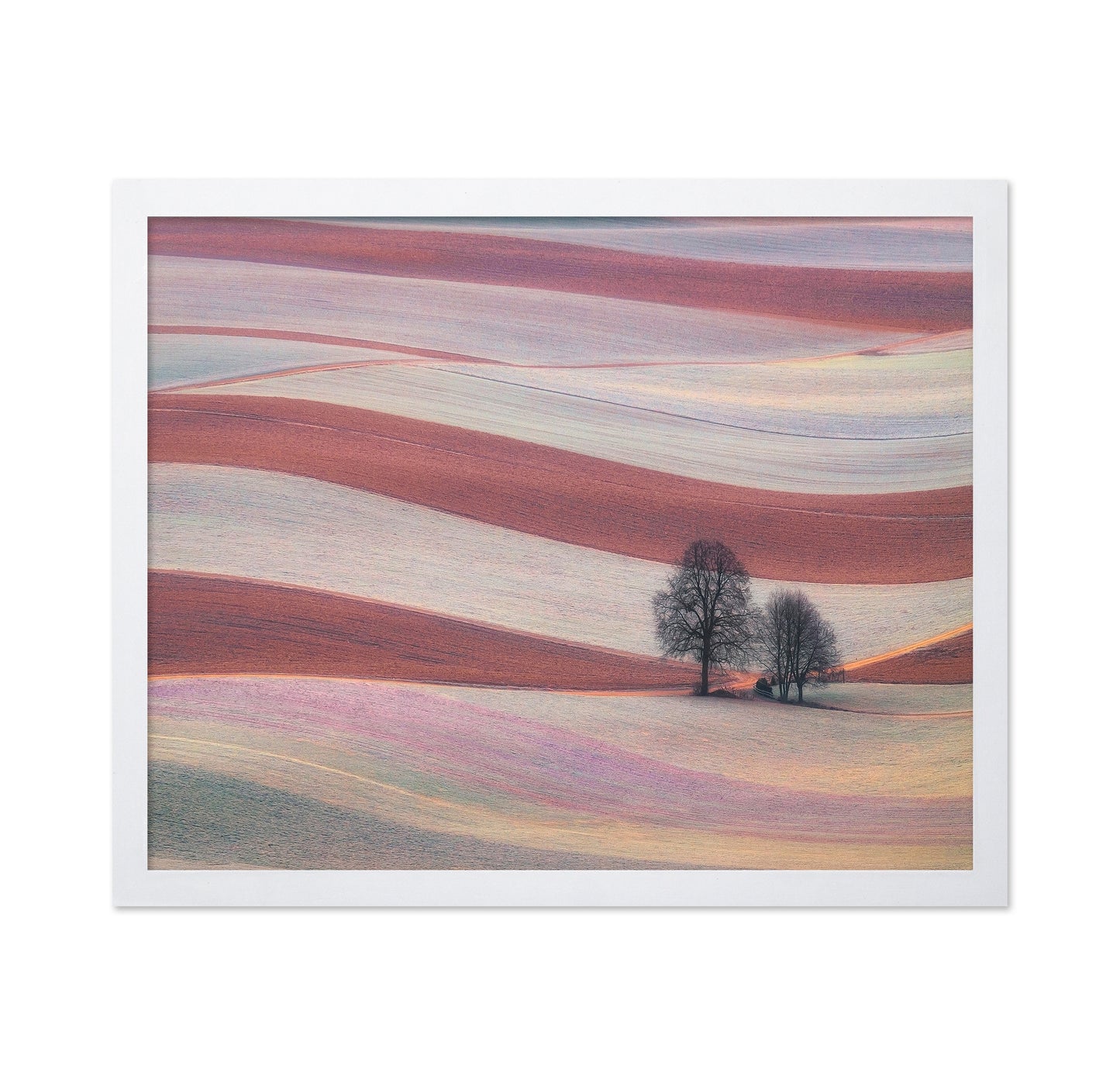 Rolling Fields of the Palouse