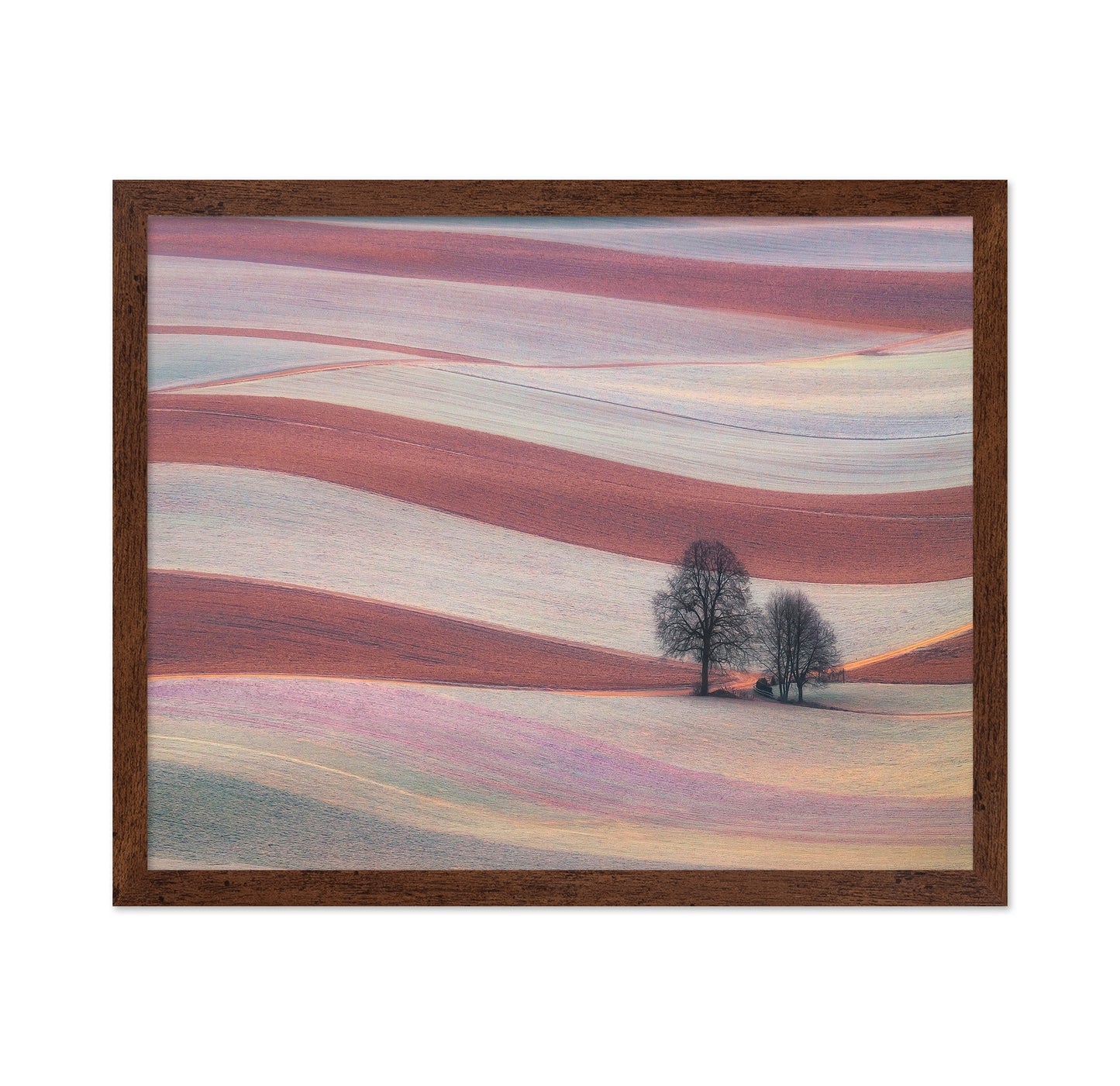 Rolling Fields of the Palouse