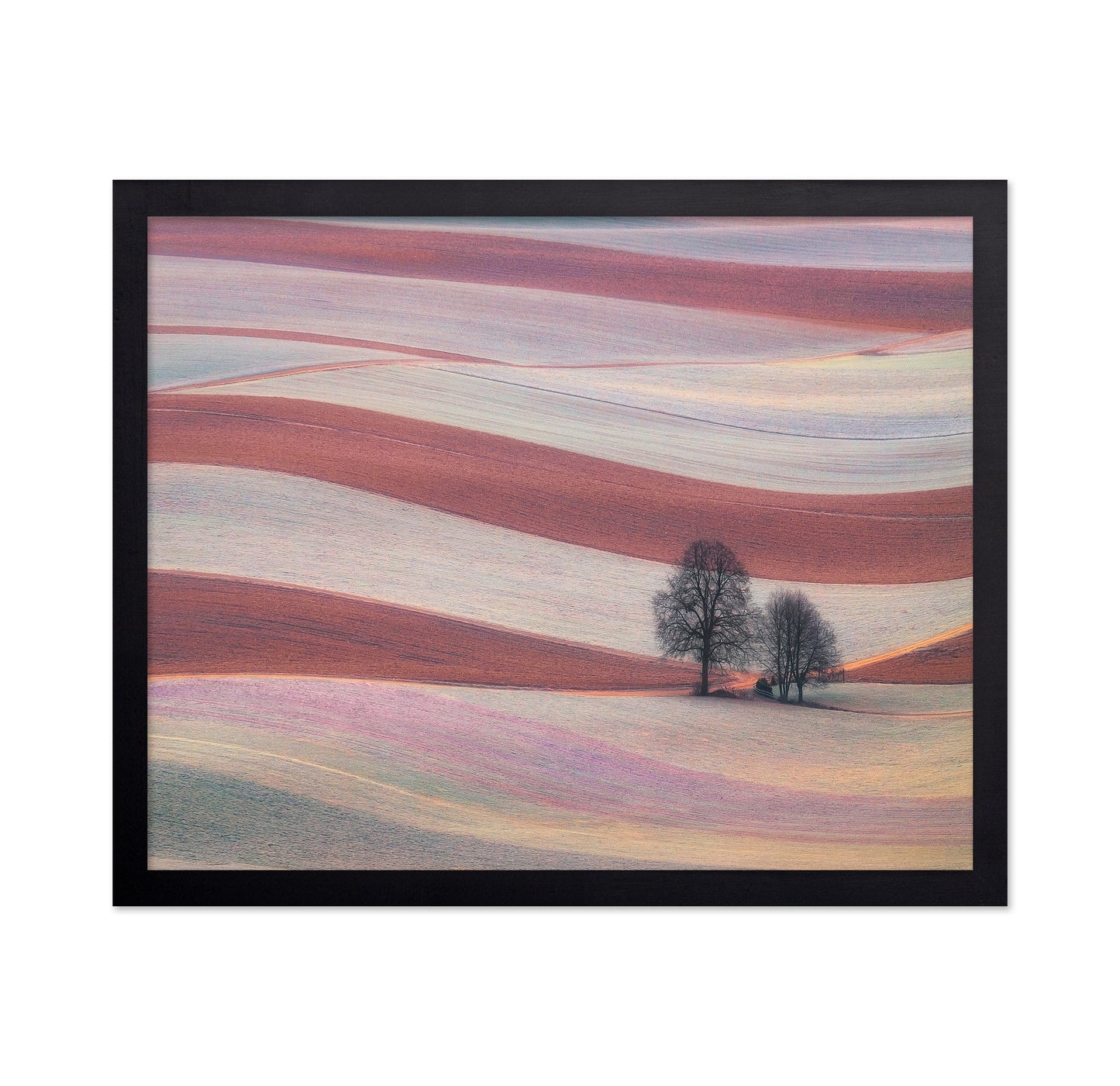 Rolling Fields of the Palouse