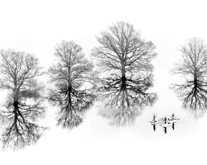 Traces of Winter