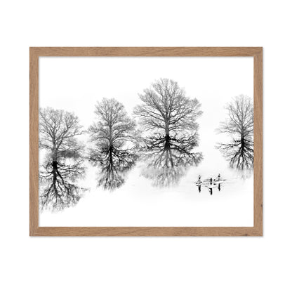 Traces of Winter