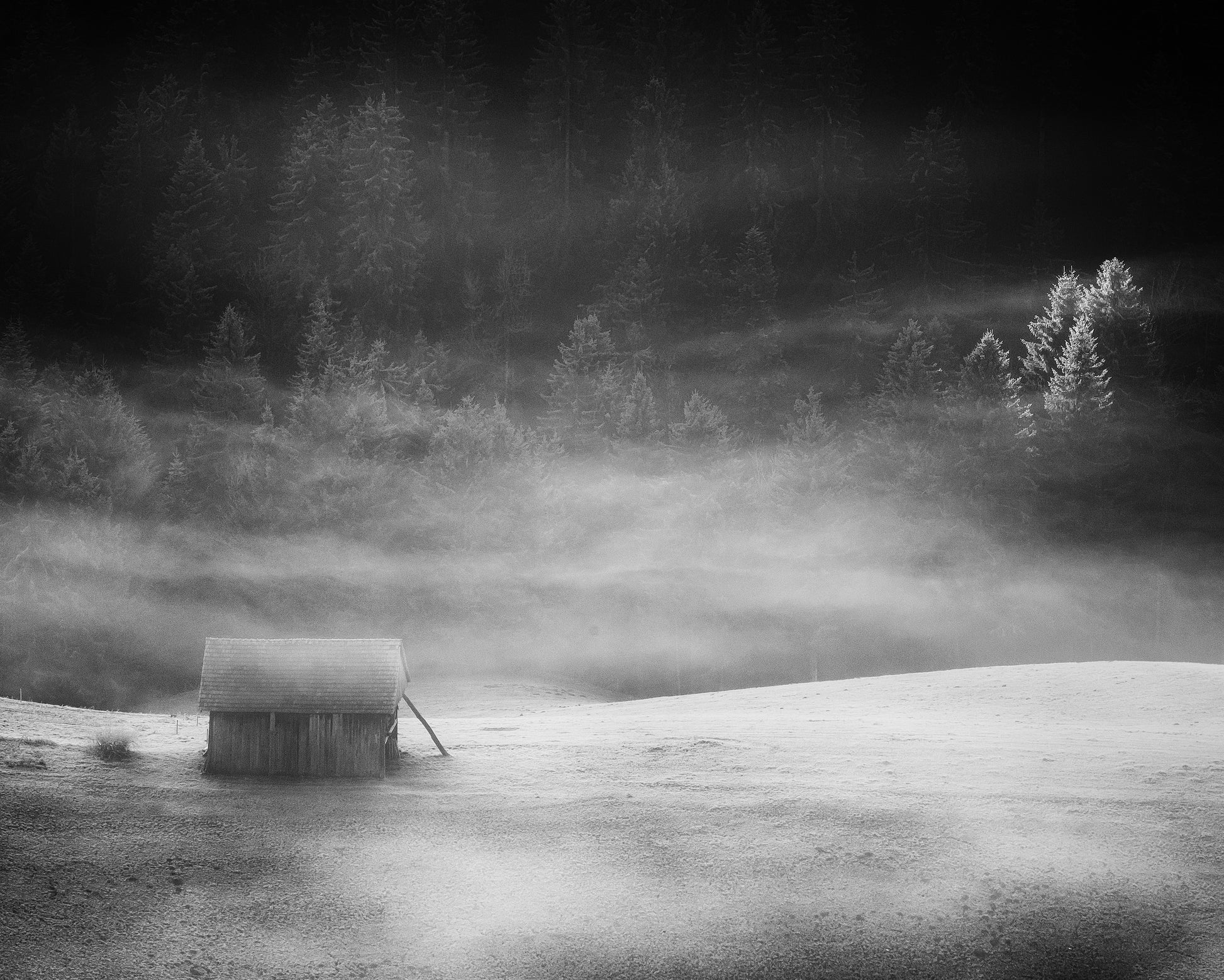 The Hut
