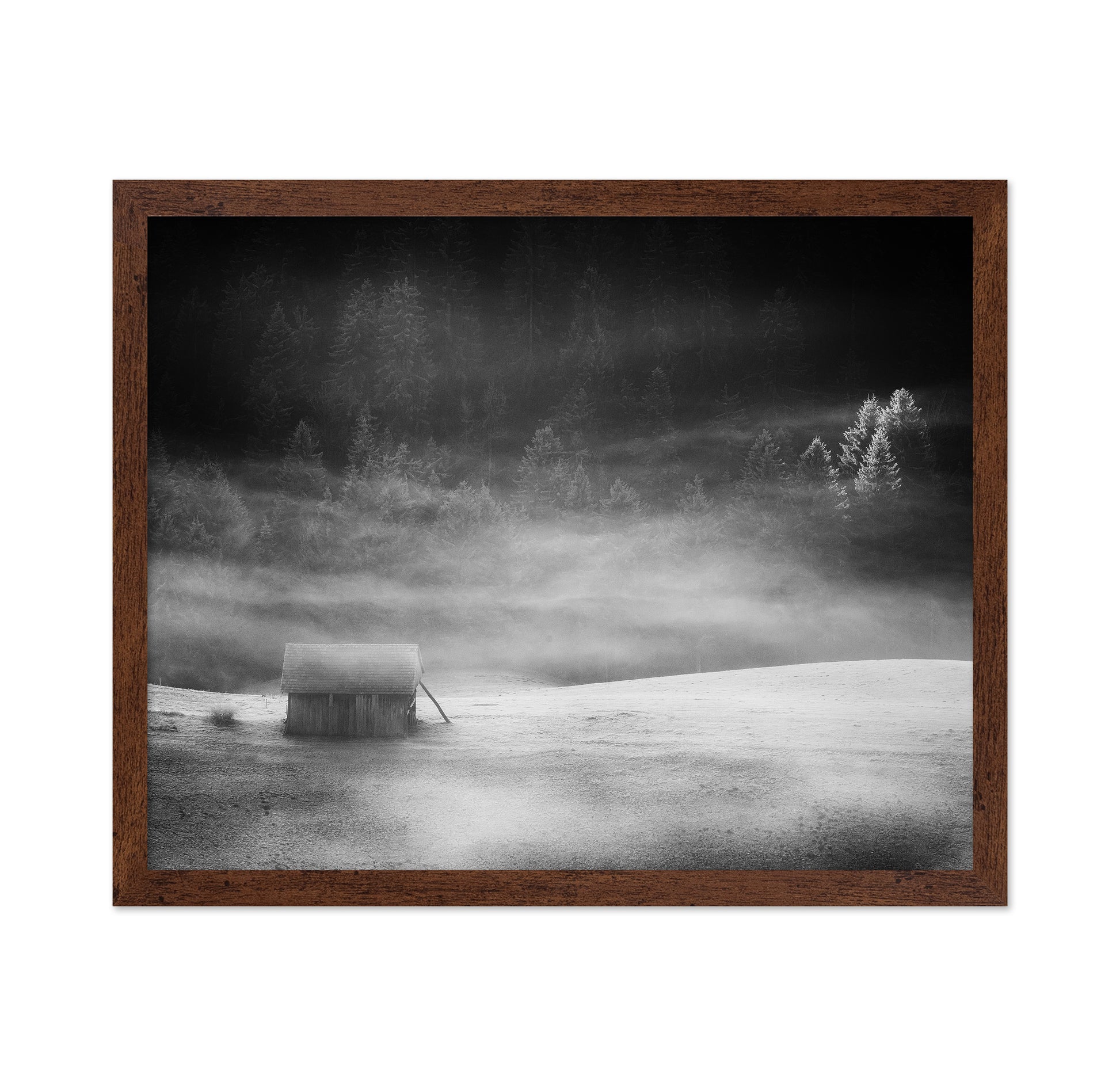 The Hut