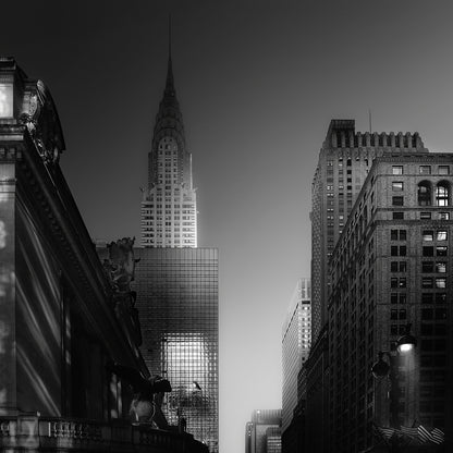 Disphotic Tower