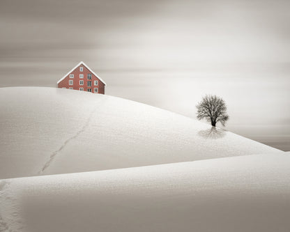 Snowy Cabin