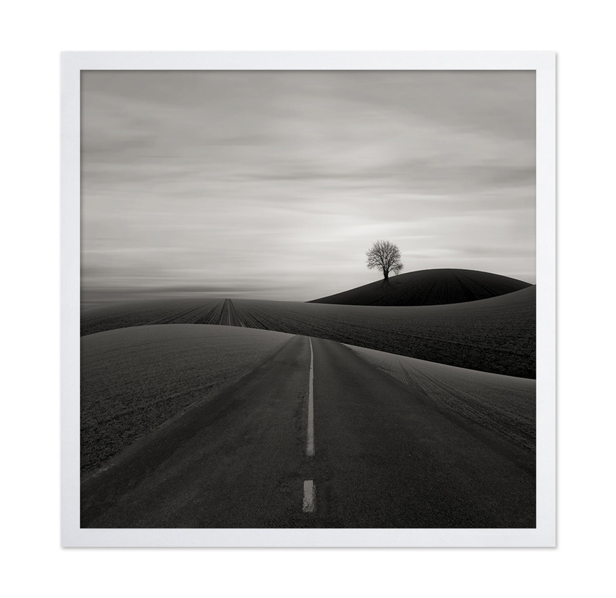 Solitary Tree on a Hill