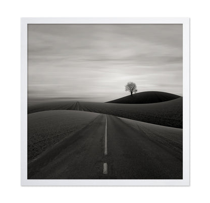 Solitary Tree on a Hill
