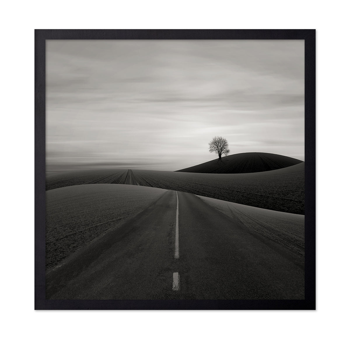 Solitary Tree on a Hill