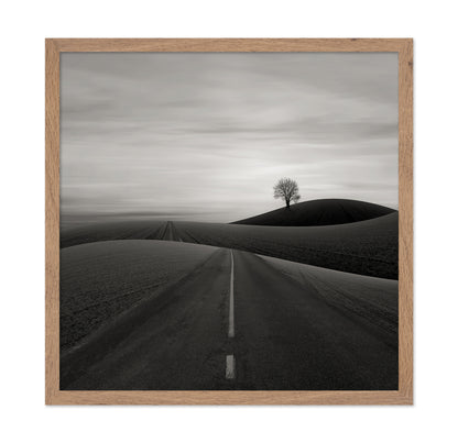 Solitary Tree on a Hill