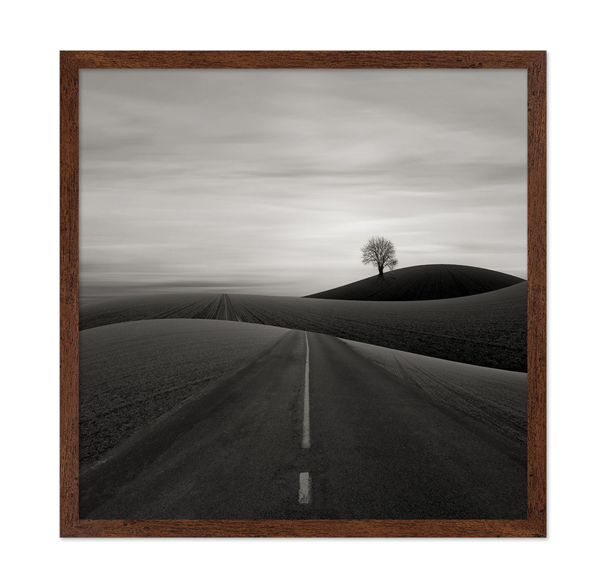 Solitary Tree on a Hill