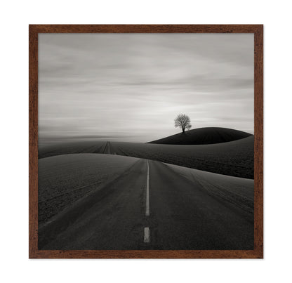 Solitary Tree on a Hill