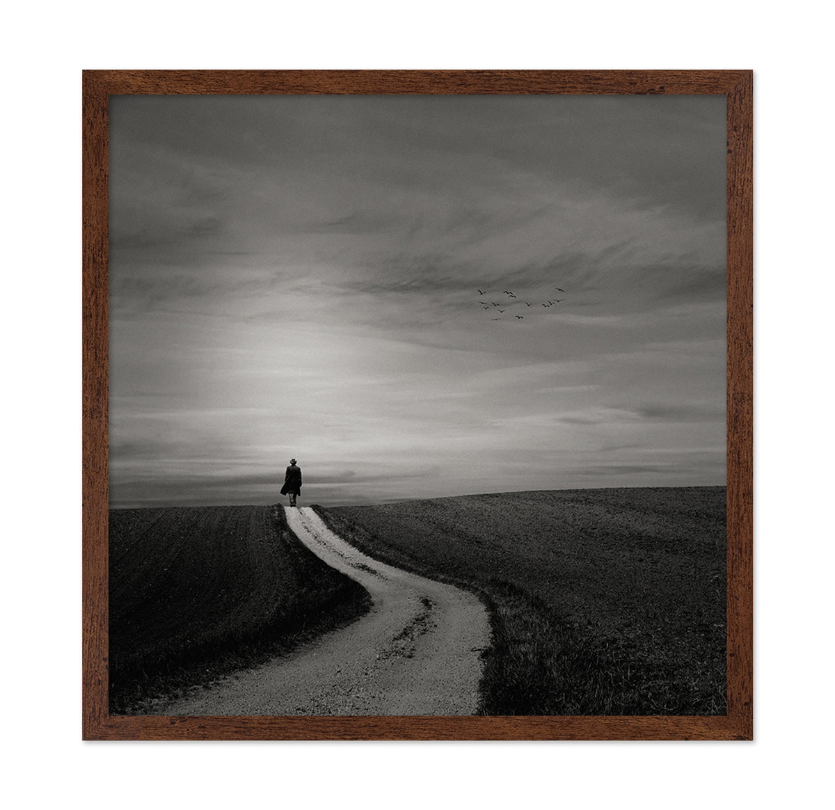 Walking Alone