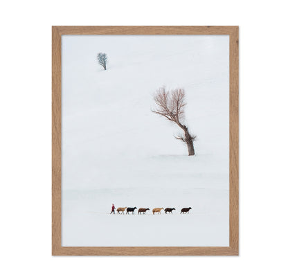Solitary Shepherd
