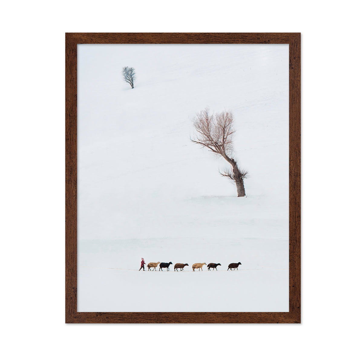 Solitary Shepherd