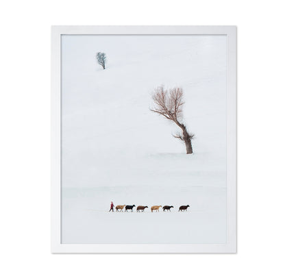 Solitary Shepherd