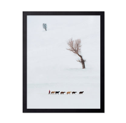 Solitary Shepherd