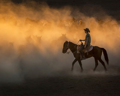 Cowboy on Horseback