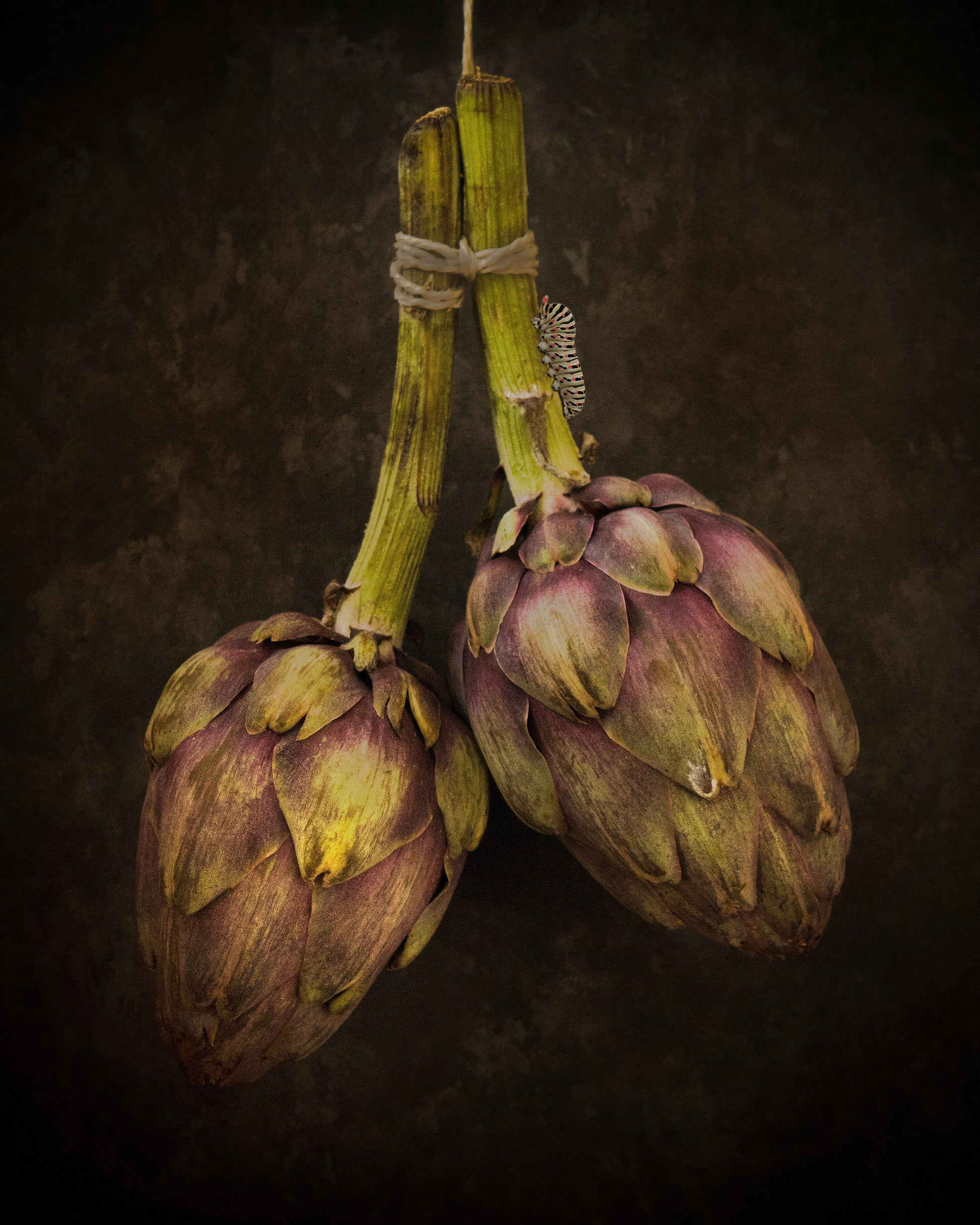 Hanging Artichoke