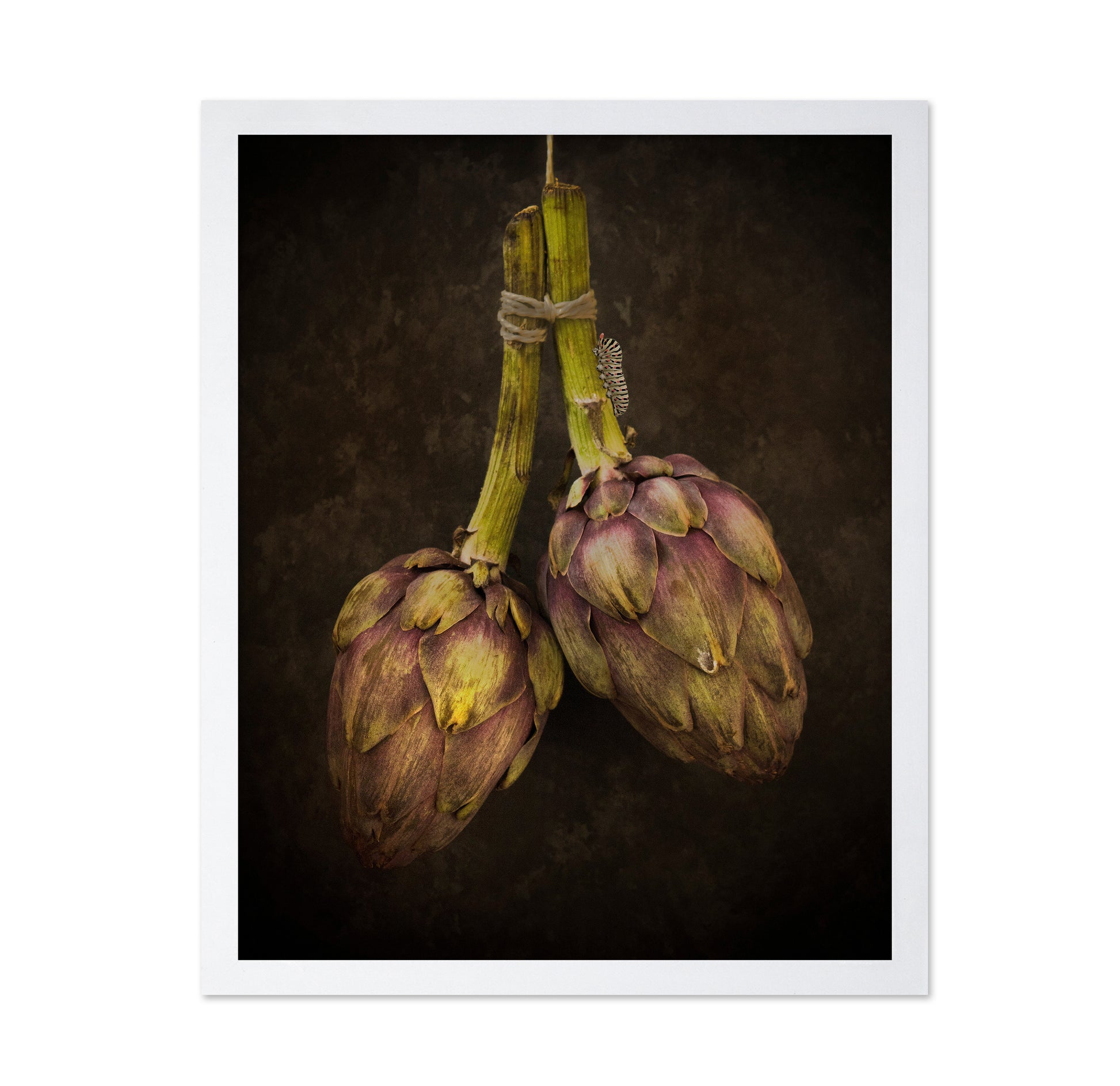 Hanging Artichoke