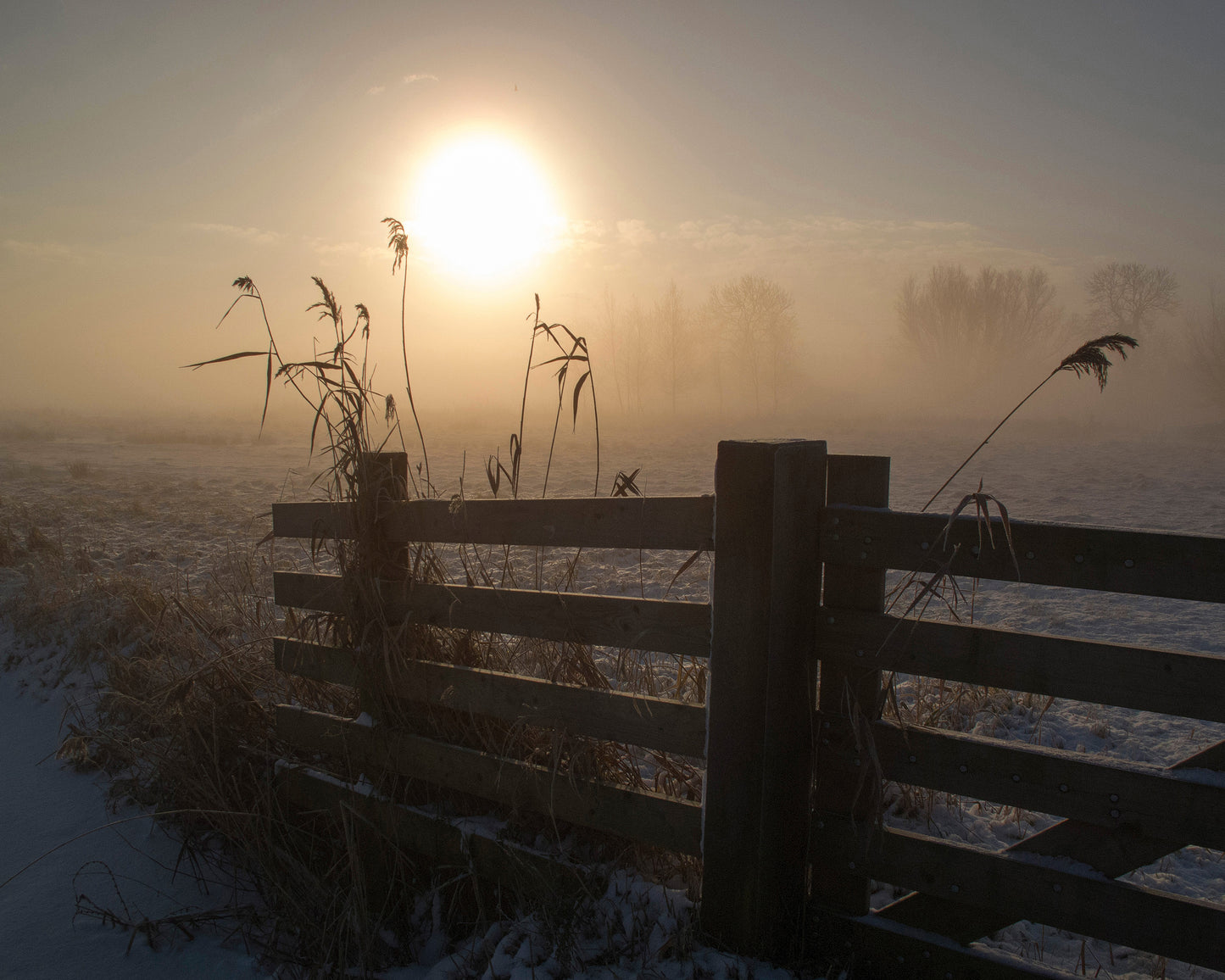 Winter Mood