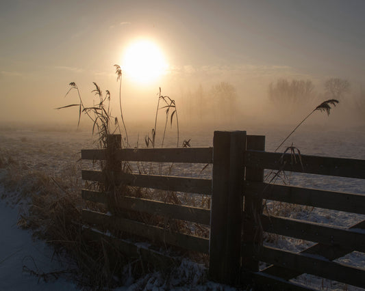 Winter Mood