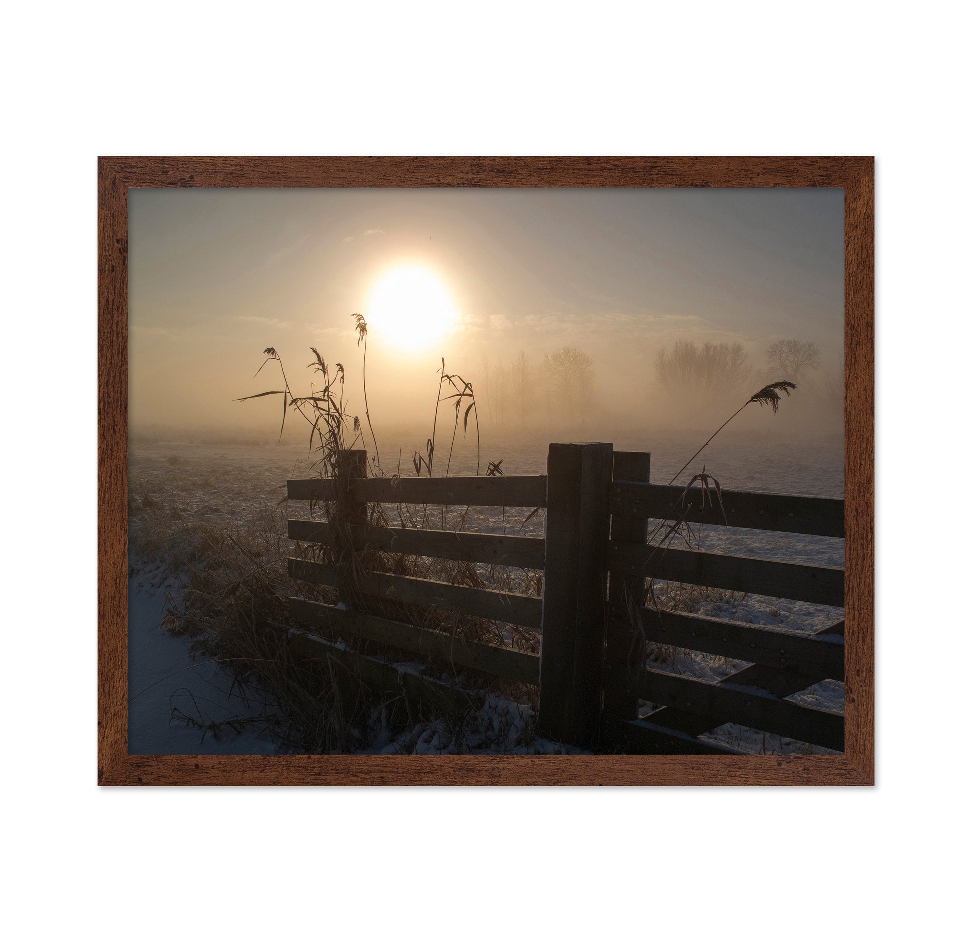 Winter Mood