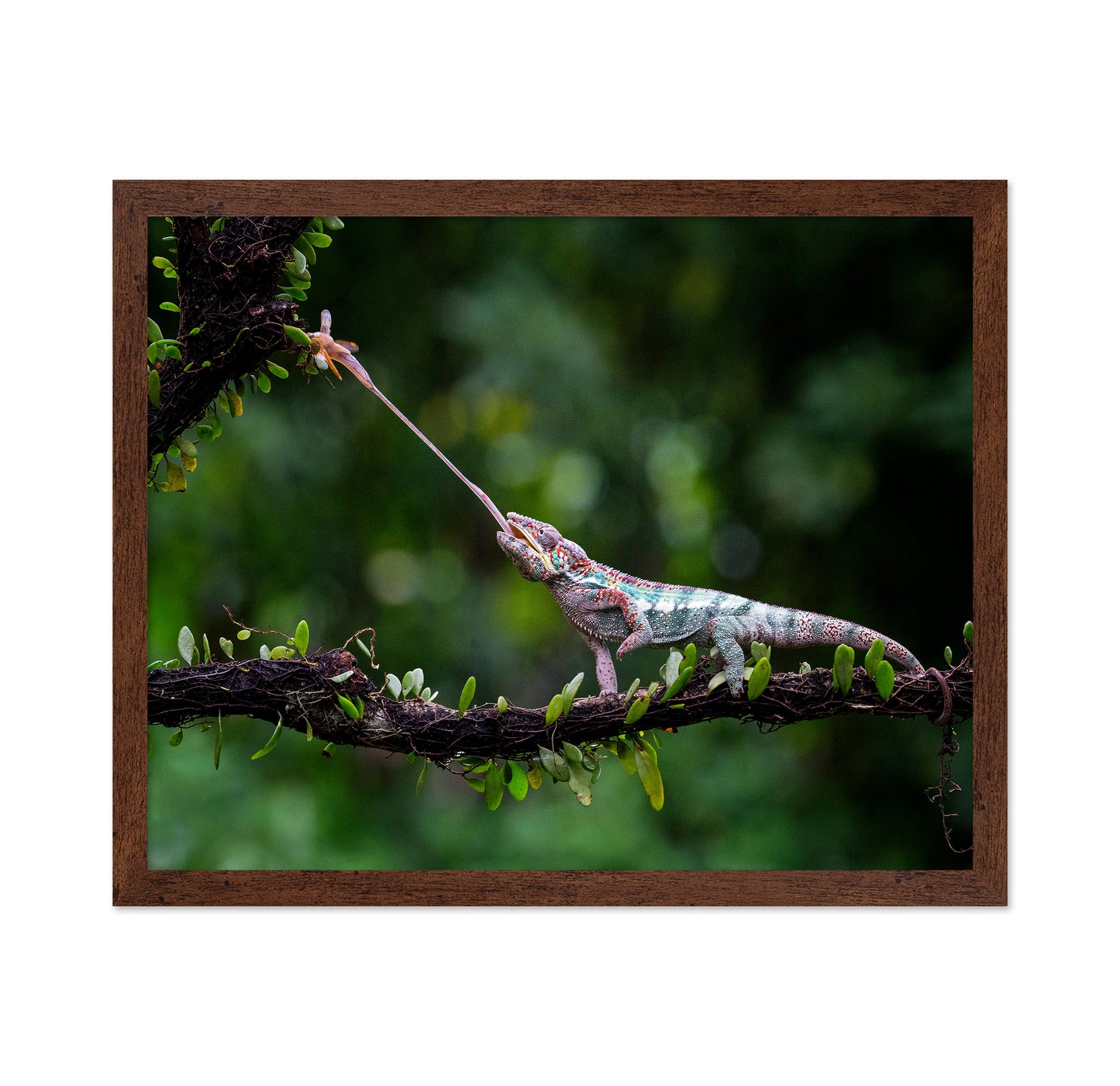 The Hunt