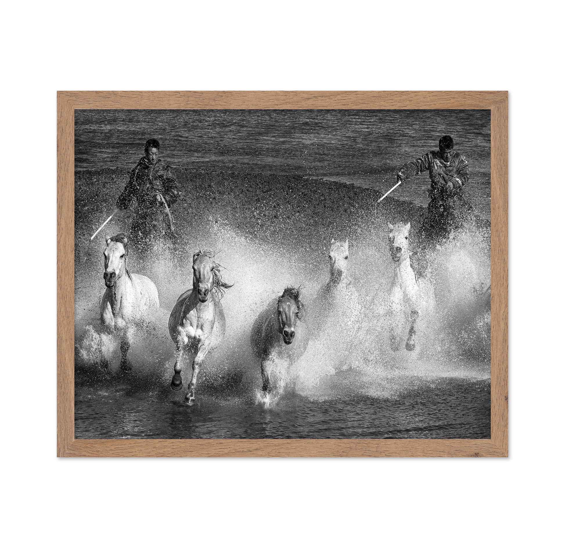 White Horses of the Camargue