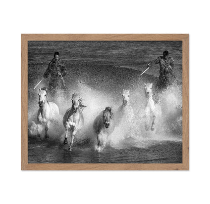 White Horses of the Camargue