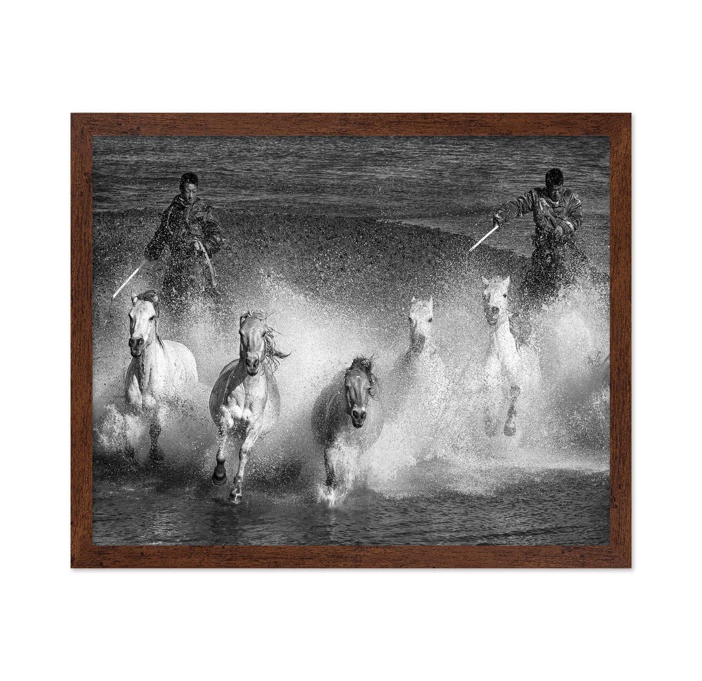 White Horses of the Camargue