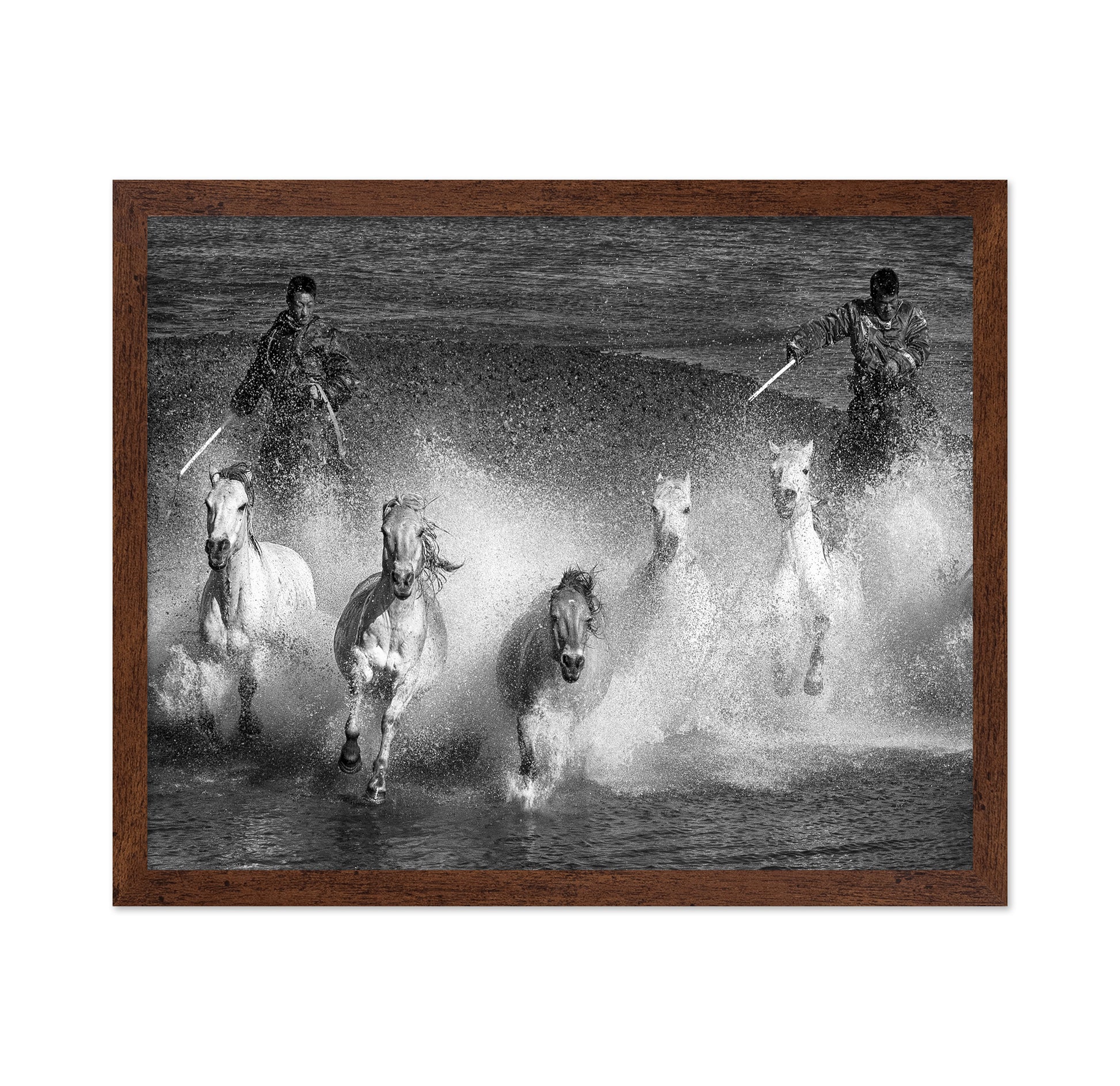 White Horses of the Camargue