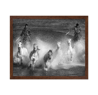 White Horses of the Camargue